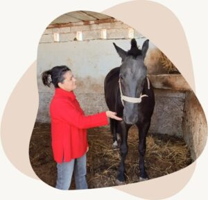 ecriture-intuitive (2) communication animale avec un cheval